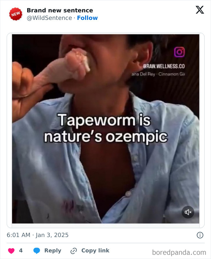 Wild-Funny-New-Sentences