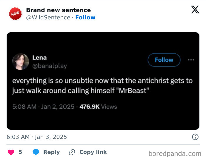 Wild-Funny-New-Sentences