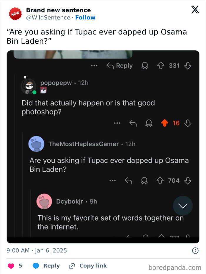 Wild-Funny-New-Sentences