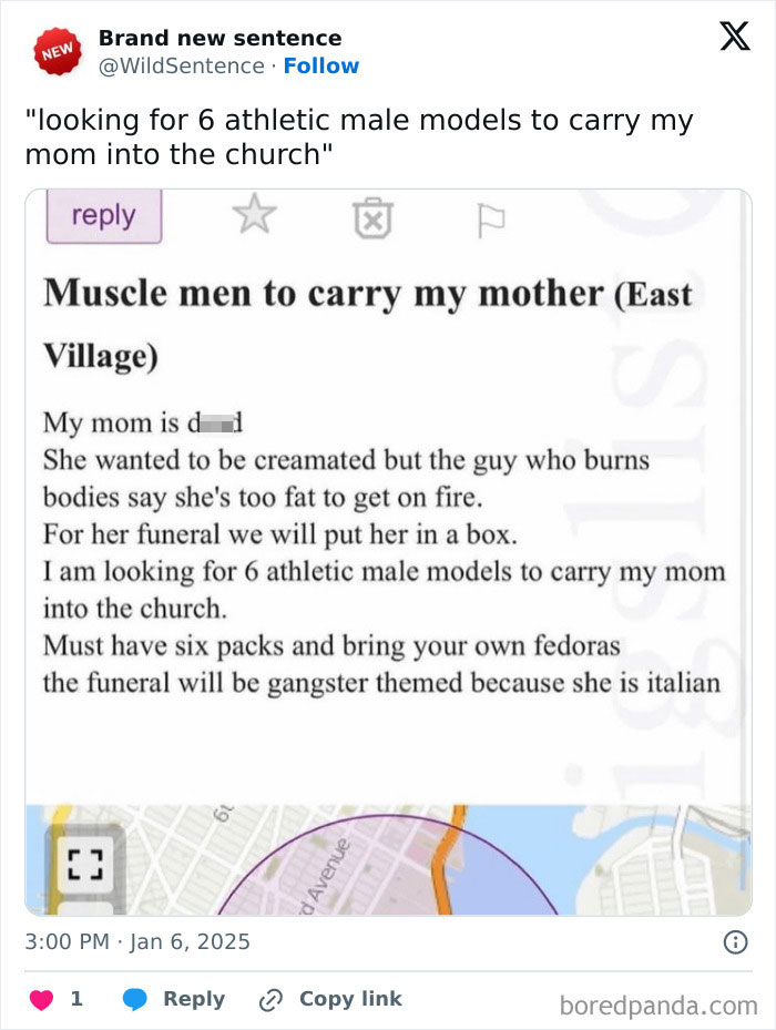 Wild-Funny-New-Sentences