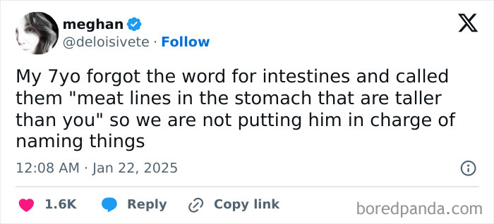 Tweet showing a funny parent-kid conversation where a child humorously describes intestines as meat lines taller than you.