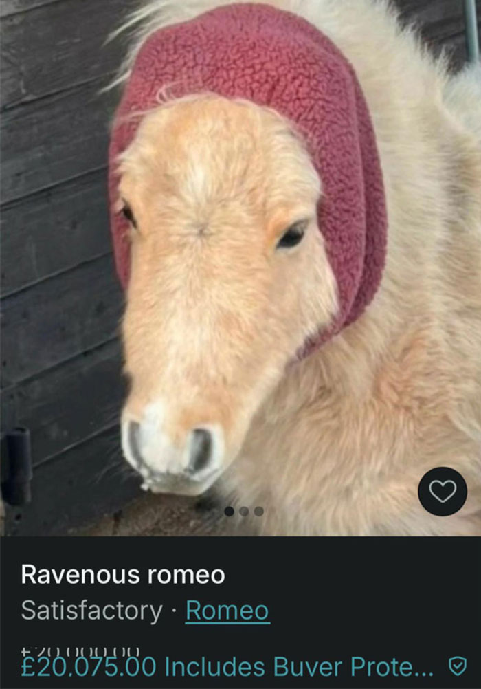 Offbeat animal listing on Vinted featuring a llama wearing a pink headband in a humorous sale post.