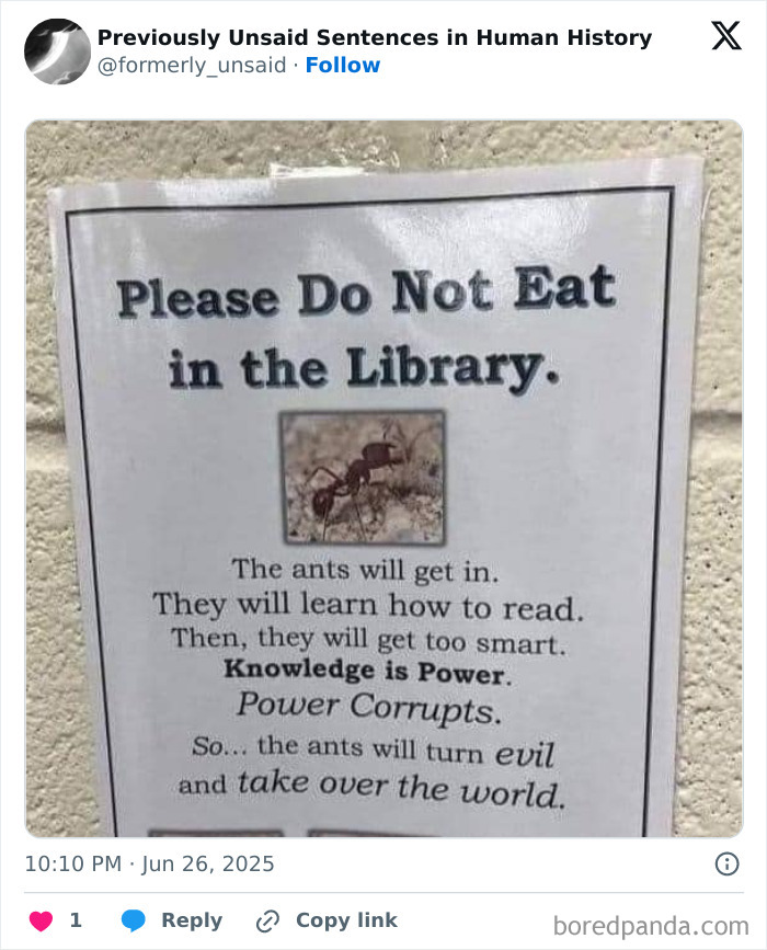 Wild-Funny-New-Sentences