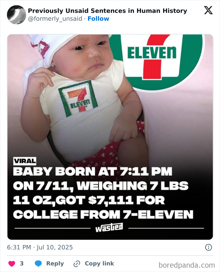 Wild-Funny-New-Sentences