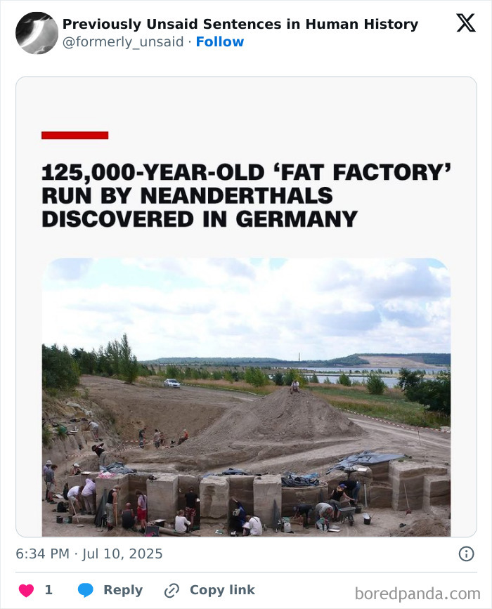 Wild-Funny-New-Sentences