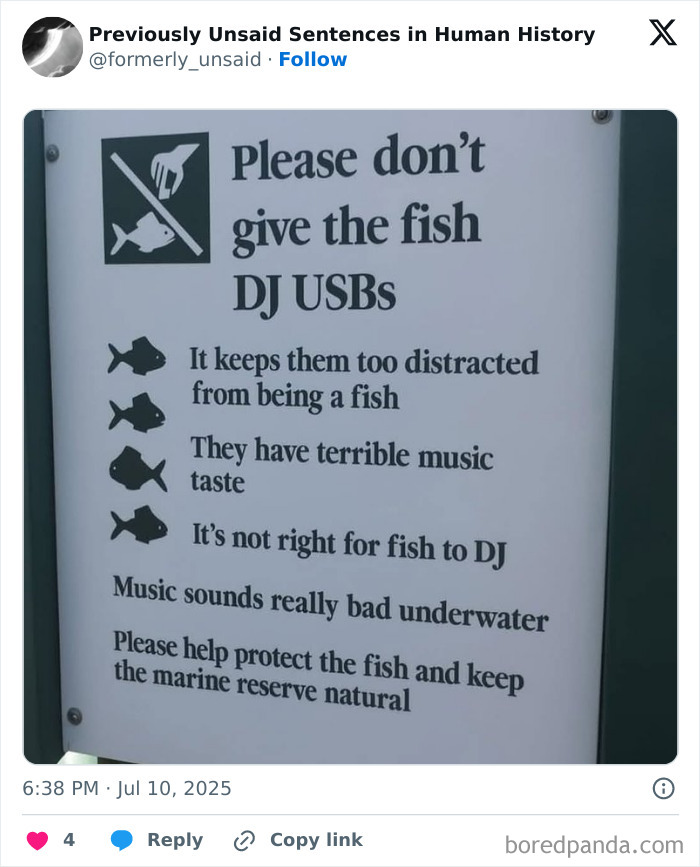 Wild-Funny-New-Sentences