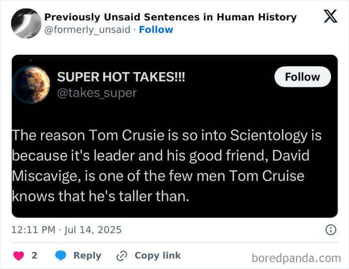 Wild-Funny-New-Sentences