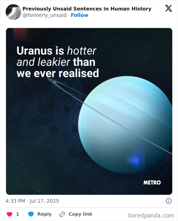 Wild-Funny-New-Sentences