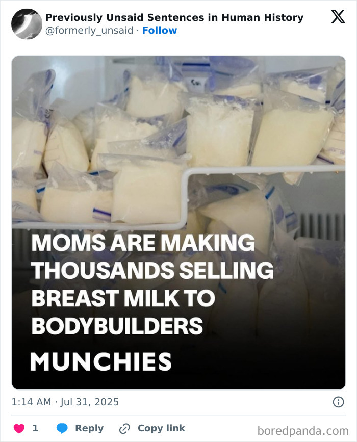 Wild-Funny-New-Sentences