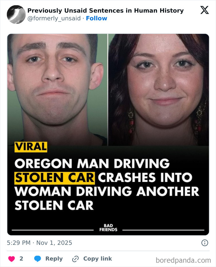 Wild-Funny-New-Sentences