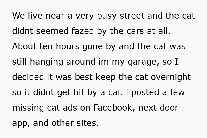 Stray neighbor cat resting safely in garage overnight before arranging neutering to prevent accidents and help control stray population.