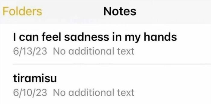 Screenshot of phone notes showing phrases reflecting emotional sadness, related to existential crisis memes.