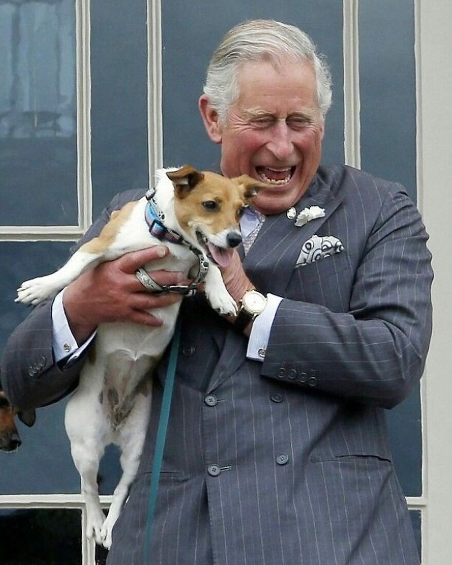 Man in a suit laughing while holding a small dog, illustrating weird animal laws that might have gone too far