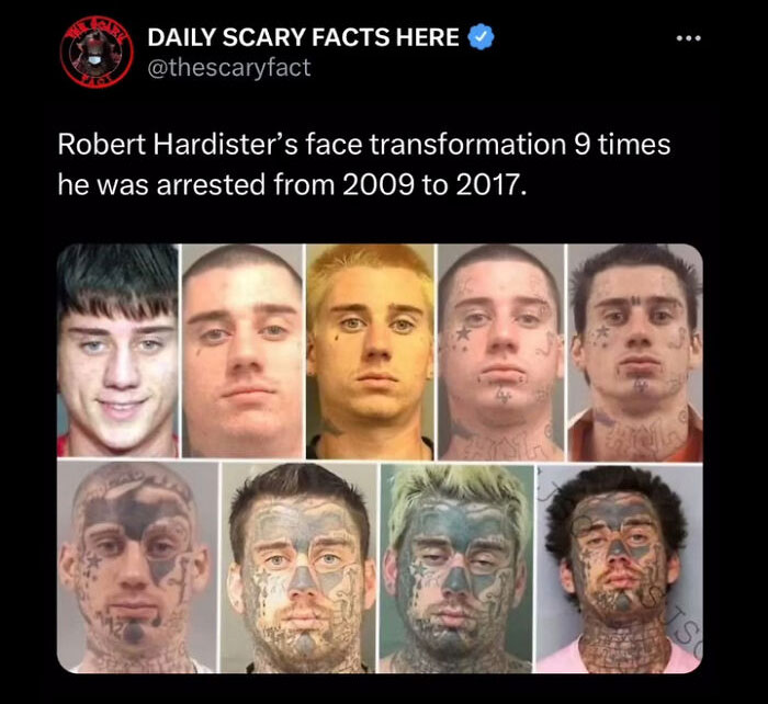 Nine photos showing Robert Hardister’s face transformation from 2009 to 2017 with tattoos and arrests, scary fact visuals.