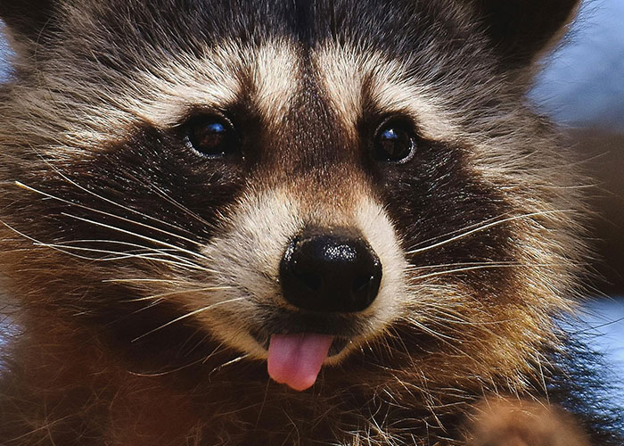 59 Times People’s Sleep Was Disturbed By The Funniest Or Most Terrifying Reasons