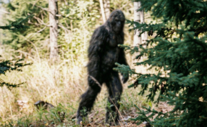 20 Weird Animal Laws That Might Have Gone A Little Too Far