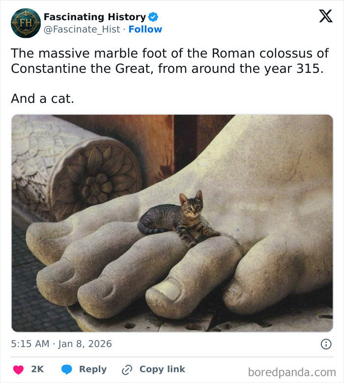 Massive marble foot of Roman colossus with a cat resting, showcasing interesting historical treasures of advanced ancient craftsmanship.