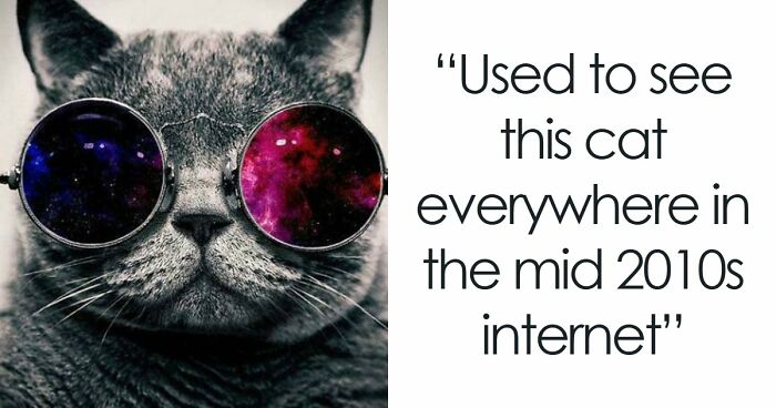 “Back When Everything Was Better”: 63 Posts To Remind You Good We Had It In The 2010s