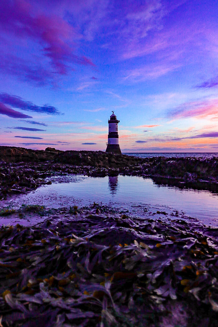 “Don't Be So Dim”