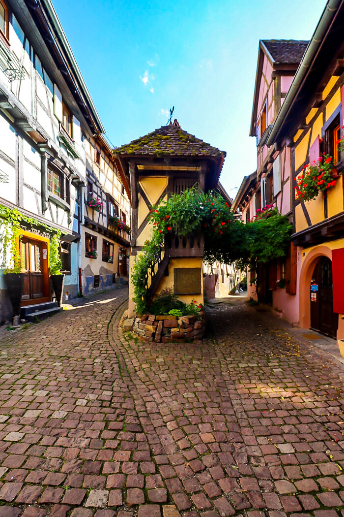 “Alsace Yourself”