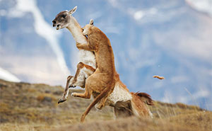 38 Winning Images From The 2025 Travel Photographer Of The Year Announced