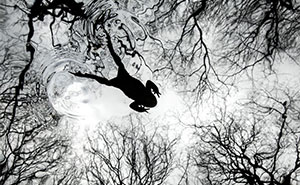 21 Jaw-Dropping Wildlife Shots That Won Big At The British Wildlife Photography Awards