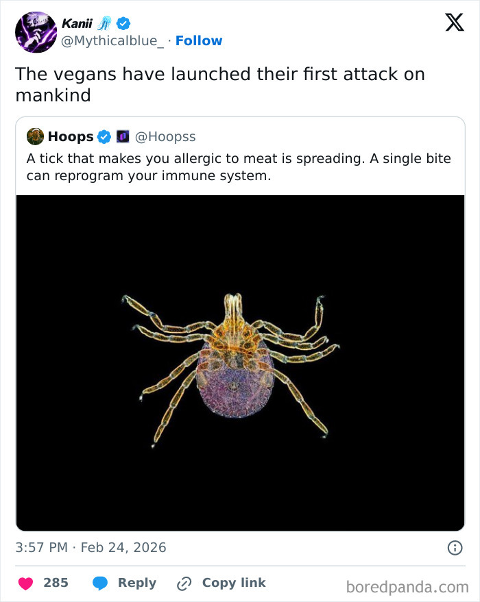 Wild-Funny-New-Sentences