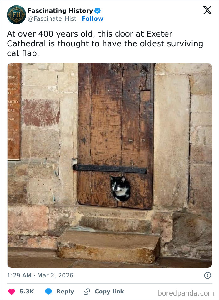 Over 400-year-old wooden door at Exeter Cathedral with the oldest surviving cat flap, a remarkable historical treasure.
