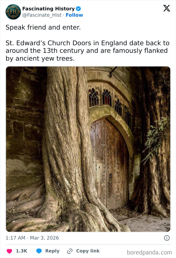 Ancient 13th-century church doors flanked by old yew trees, showcasing historical treasures revealing advanced past architecture.