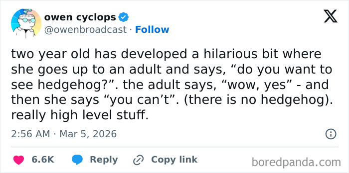 Screenshot of a funny and honest parents’ tweet sharing an unexpected toddler moment about a non-existent hedgehog.