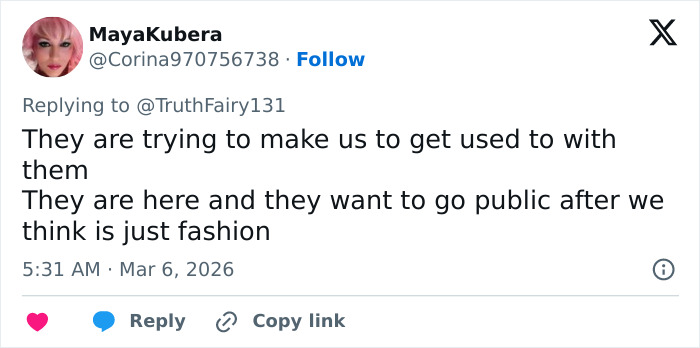 Screenshot of a tweet discussing Paris Fashion Week outfits resembling costumes from The Hunger Games.