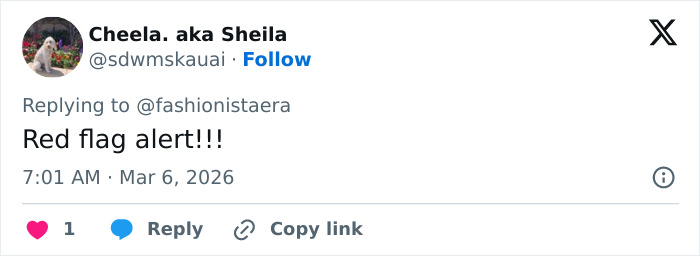 Tweet from user calling Nicola Peltz's behavior a red flag in response to a birthday post for Brooklyn Beckham.