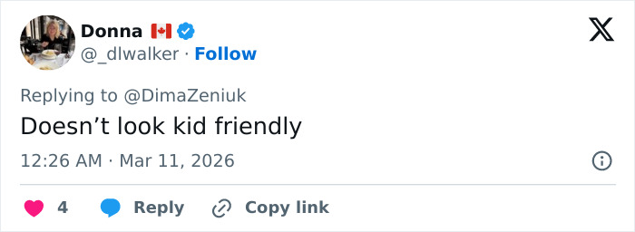 Tweet by Donna with a Canadian flag replying about Elon Musk's house interior, mentioning it doesn&rsquo;t look kid friendly.