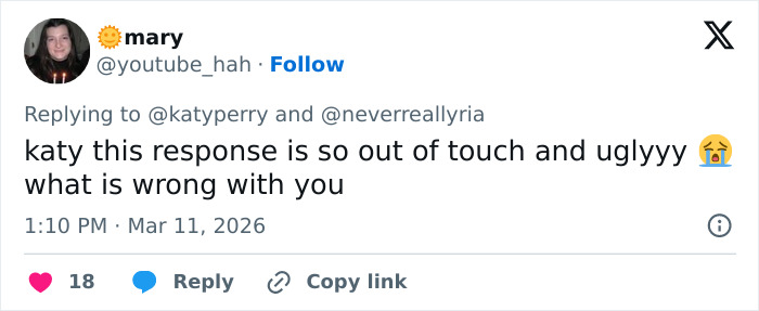 User tweet criticizing Katy Perry&rsquo;s grim response to fan, calling it out as out of touch and upsetting.