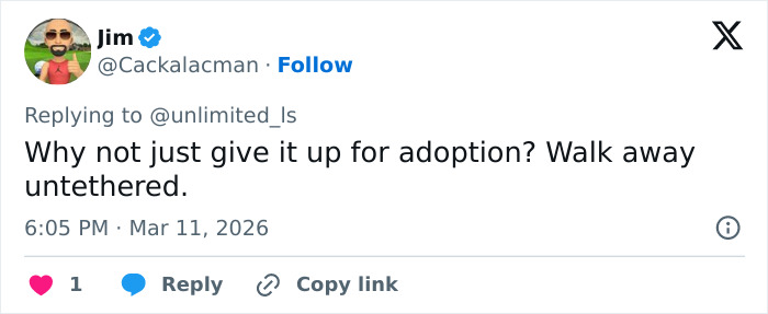 Screenshot of a tweet discussing adoption in response to a thread about cheerleader Laken Snelling&rsquo;s Snapchat history details.