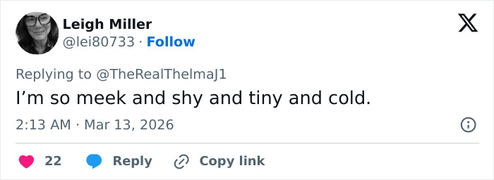 Screenshot of a tweet by Leigh Miller replying with a meek and shy comment, related to Erika Kirk backlash discussion.