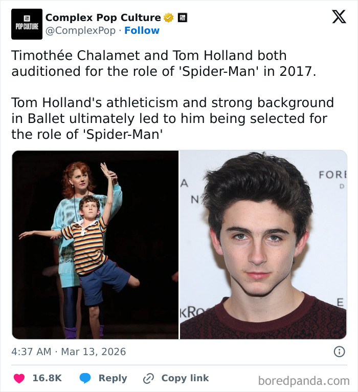 Tweet about Timothée Chalamet and Tom Holland auditioning for Spider-Man role, highlighting film industry memes and cinephile humor.