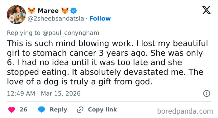 Determined Guy Teams Up With AI To Create Cancer Vaccine For Beloved Dog, Succeeds Against All Odds Determined Guy Teams Up With AI To Create Cancer Vaccine For Beloved Dog, Succeeds Against All Odds