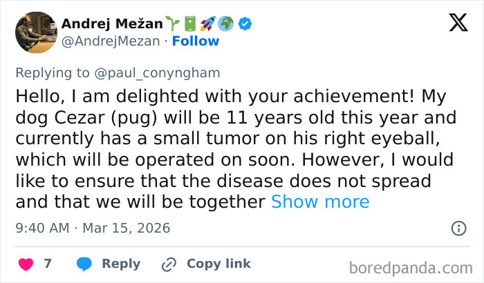 Determined Guy Teams Up With AI To Create Cancer Vaccine For Beloved Dog, Succeeds Against All Odds Determined Guy Teams Up With AI To Create Cancer Vaccine For Beloved Dog, Succeeds Against All Odds