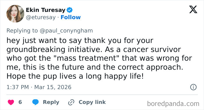 Determined Guy Teams Up With AI To Create Cancer Vaccine For Beloved Dog, Succeeds Against All Odds Determined Guy Teams Up With AI To Create Cancer Vaccine For Beloved Dog, Succeeds Against All Odds