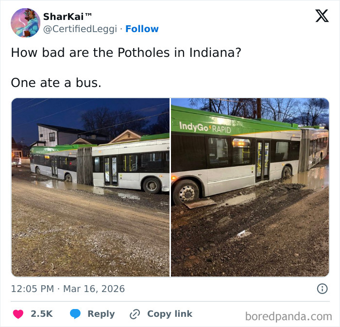 Bus stuck in a large pothole filled with water on a rural Indiana street, illustrating road conditions in the US states.