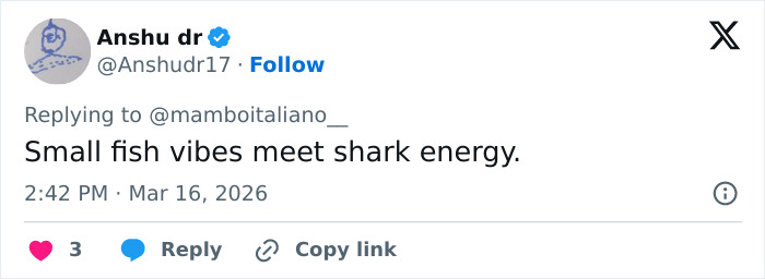 Tweet from Anshu dr reading Small fish vibes meet shark energy in a casual social media post about Oscars party drama with Nicole Kidman and Lauren Sánchez. Tweet from Anshu dr reading Small fish vibes meet shark energy in a casual social media post about Oscars party drama with Nicole Kidman and Lauren Sánchez.
