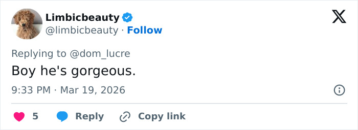 Heidi Klum and her son at a premiere, with netizens surprised by her son's star-like appearance. Heidi Klum and her son at a premiere, with netizens surprised by her son's star-like appearance.