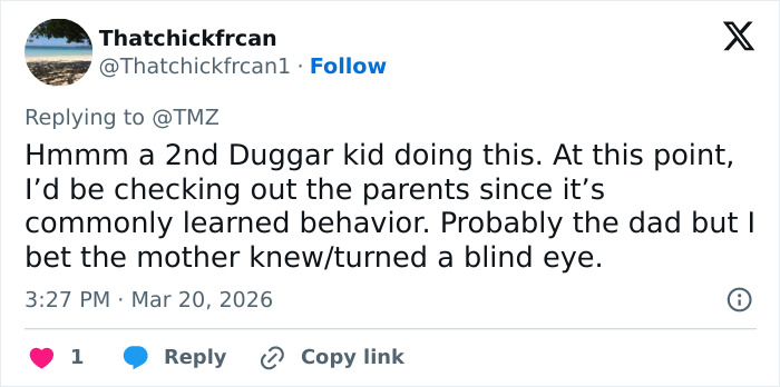 Tweet sobre a irmã de Joseph Duggar, Jill, respondendo à prisão do irmão, discutindo o comportamento familiar e os papéis parentais. Tweet sobre a irmã de Joseph Duggar, Jill, respondendo à prisão do irmão, discutindo o comportamento familiar e os papéis parentais.