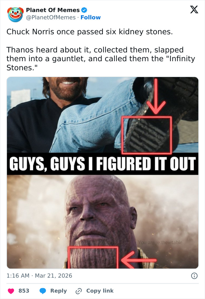 Chuck Norris memes with Thanos and Infinity Stones joke highlight the best chuck norris memes fans love.
