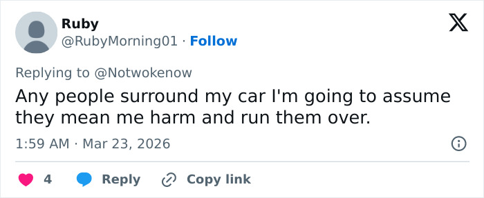 Tweet de uma mulher de 20 anos do Kentucky afirmando que atropelaria qualquer pessoa que estivesse ao redor de seu carro, relacionado à prisão por incidente com multidão.