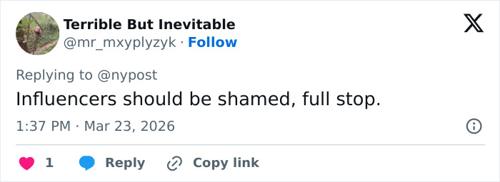 Screenshot of a social media comment criticizing influencers after an inappropriate Disney World outfit sparked complaints.