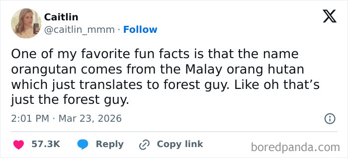 83 Funniest Tweets People Posted This March