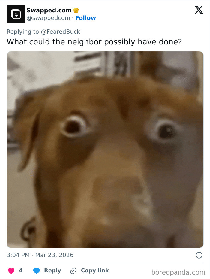 Close-up of a surprised dog with wide eyes in a humorous social media post about Reacher star Alan Ritchson investigation.