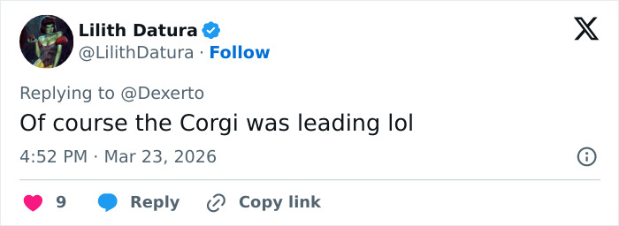 Seven Kidnapped Dogs Become Viral Sensation After They Escape Captors To Make Brave Journey Home Together